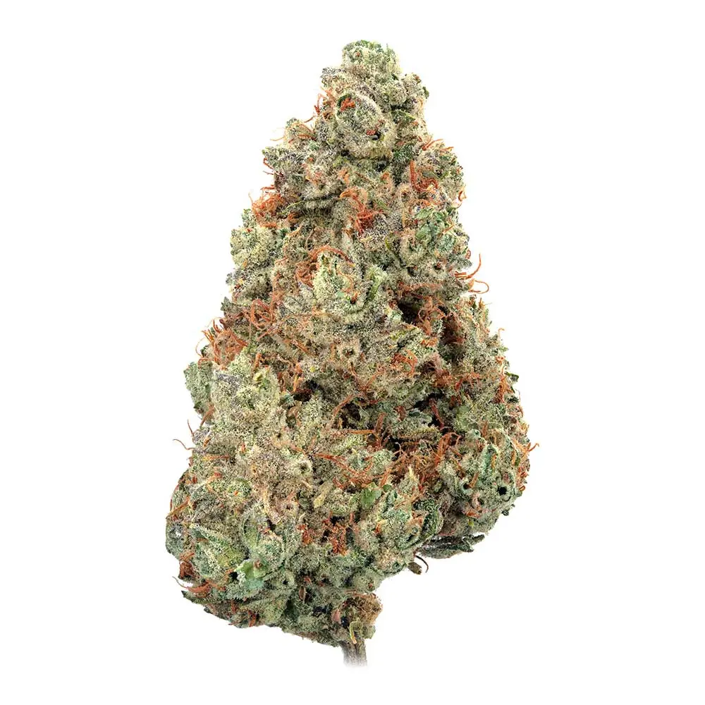 Pineapple Diesel thumbnail 2