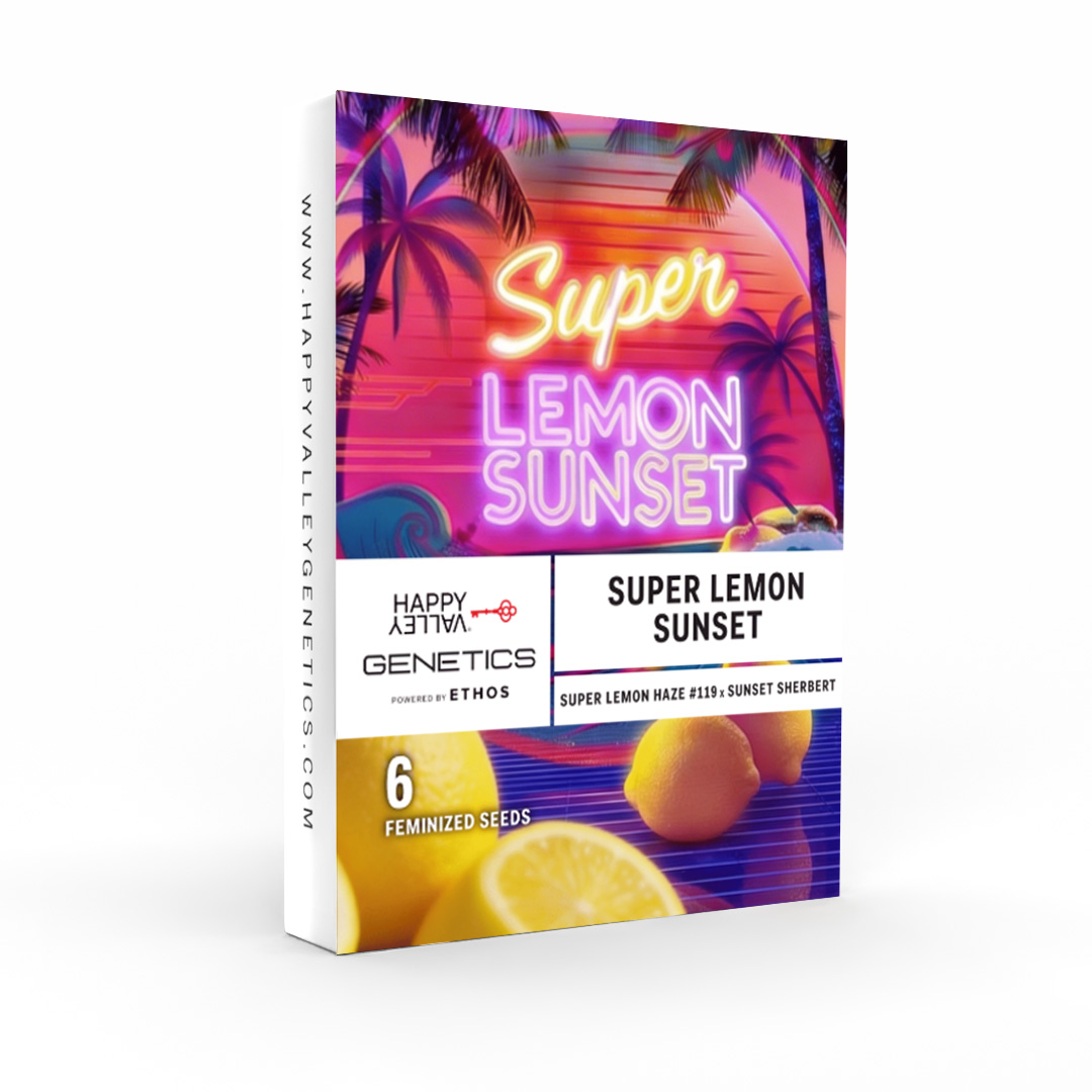 Super Lemon Sunset