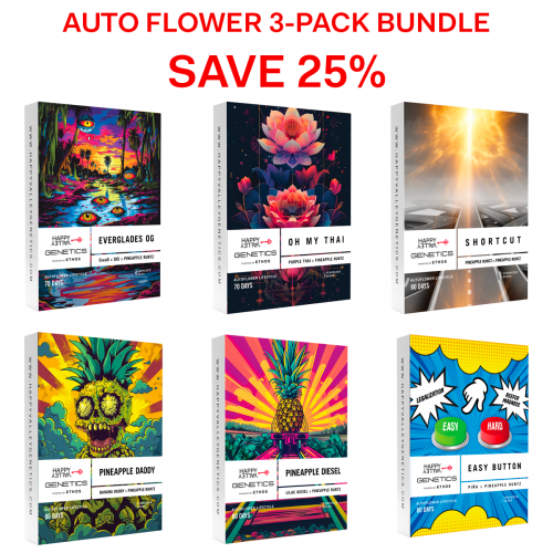 3 pack autos bundle